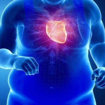 Tratamento para Obesidade em Sapiranga